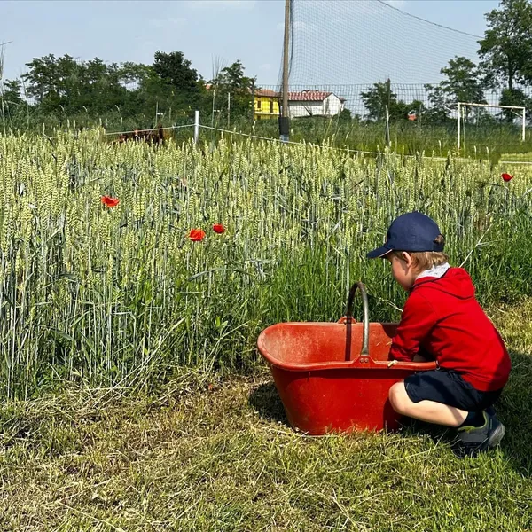 La concimazione